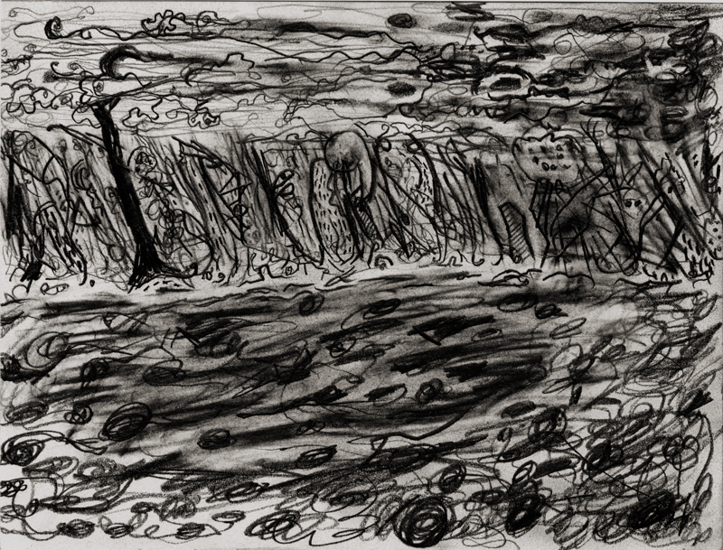 forest three &copy Tarek Ahmed Darwish 2012